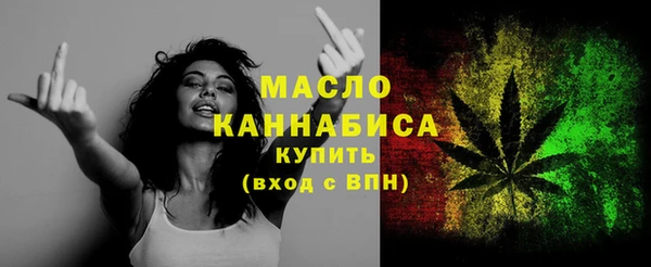 дмт Дмитриев