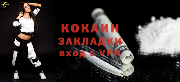 дмт Дмитриев