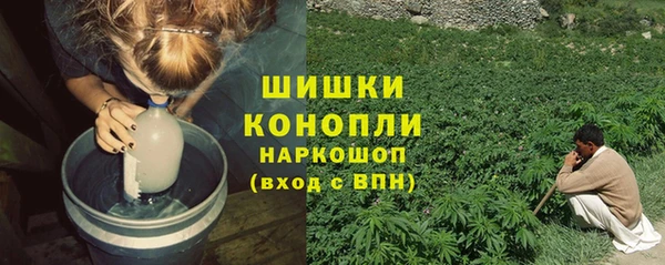 дмт Дмитриев