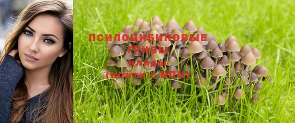дмт Дмитриев